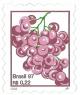 Colnect-3967-184-Grape.jpg