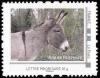 Colnect-6154-237-Donkey.jpg