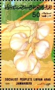 Colnect-4816-275-Garlic.jpg