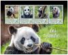 Colnect-6107-346-Pandas.jpg