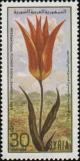 Colnect-2209-464-Tulips.jpg