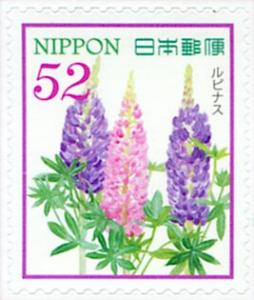 Colnect-5471-507-Lupin.jpg
