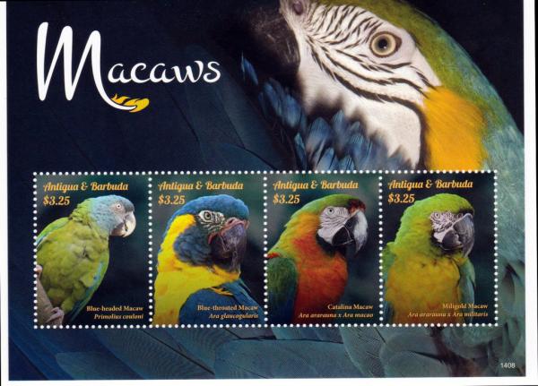 Colnect-2977-554-Macaws.jpg