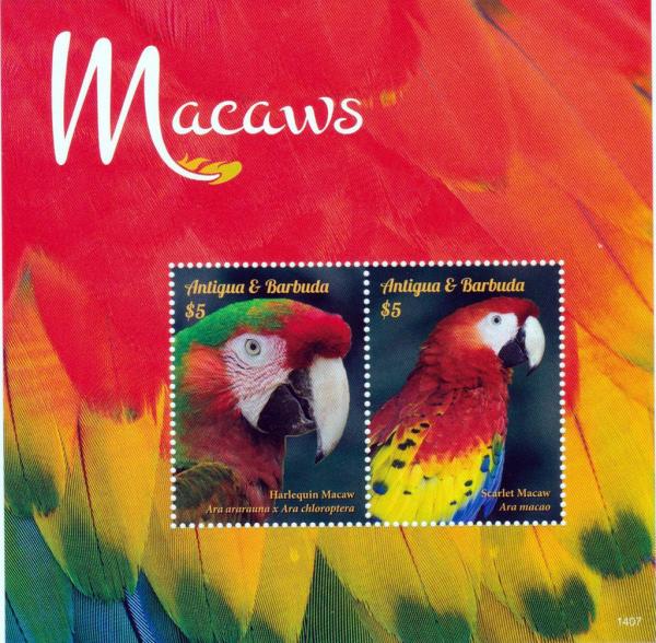Colnect-2977-565-Macaws.jpg