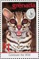 Colnect-4569-538-Margay.jpg