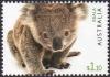 Colnect-6324-660-Koala.jpg