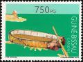 Colnect-1177-622-Canoes.jpg