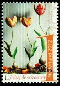 Colnect-1529-627-Tulip.jpg