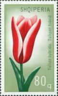 Colnect-5802-630-Tulip.jpg