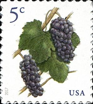 Colnect-5972-678-Grapes.jpg