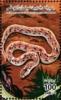 Colnect-5471-644-Snake.jpg