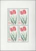 Colnect-6224-671-Tulips.jpg