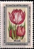 Colnect-2181-811-Tulips.jpg