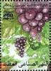 Colnect-5458-880-Grapes.jpg
