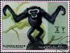Colnect-3615-917-Monkey.jpg