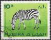 Colnect-4012-951-Zebra.jpg