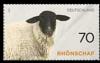 Colnect-4306-970-Sheep.jpg