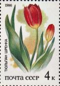 Colnect-3988-980-Tulips.jpg