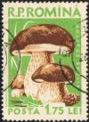 Posta_Romana_-_1958_-_mushroom_1%2C75LEI.jpg