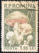 Posta_Romana_-_1958_-_mushroom_1%2C55LEI.jpg