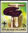 Colnect-2906-136-Agaricus-niger.jpg