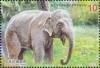 Colnect-4698-392-Asian-Elephant.jpg