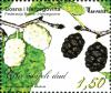 Colnect-5866-921-White-and-Black-Mulberries.jpg