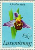 Colnect-134-338-Ophrys-apifera---Bee-Orchid.jpg