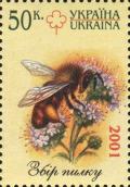 Colnect-3499-219-Bee-Apis-sp-on-Flower.jpg