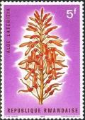 Colnect-5895-276-Aloe-Lateritia.jpg