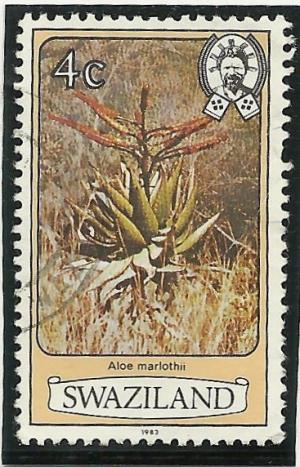 Colnect-1340-284-Aloe-marlothii.jpg