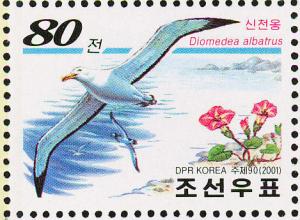 Colnect-1614-867-Short-tailed-Albatross-Diomedea-albatrus.jpg