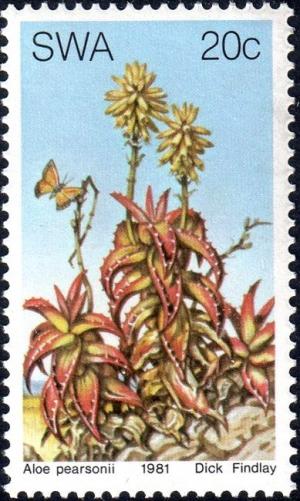 Colnect-4541-705-Aloe-pearsonii.jpg