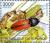 Colnect-3102-340-Cardinal-Click-Beetle-Ampedus-cardinalis-Yellow-Pitcherpl.jpg