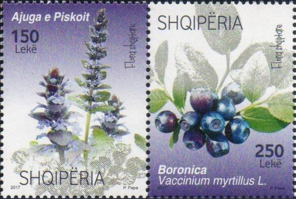 Colnect-4470-519-Albanian-Flora.jpg