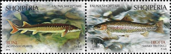 Colnect-5472-149-Fauna--Albanian-Fish-Species.jpg