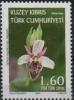 Colnect-3703-542-Ophrys-argolicas-ssp-elegans.jpg
