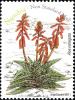 Colnect-3063-335-Aloe-variegata.jpg