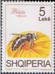 Colnect-1505-114-Honey-Bee-Apis-mellifica-on-Flower.jpg