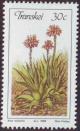Colnect-1713-634-Aloe-ecklonis.jpg