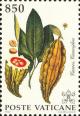 Colnect-2420-864-Plants-from-America---Theobroma-cacao.jpg