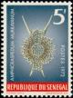 Colnect-897-887-Radiolarian-Amphicraspedum-murrayanum.jpg