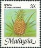 Colnect-1110-392-Ananas-comosus.jpg