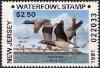 Colnect-205-768-American-Brant-Branta-bernicla.jpg