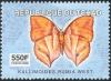 Colnect-2395-328-African-Leaf-Butterfly-Kallimoides-rumia.jpg