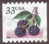 Colnect-2457-258-Fruit-Berries-Blackberries.jpg