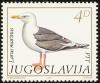 Colnect-2608-193-Great-Black-backed-Gull-Larus-marinus.jpg