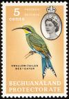 Colnect-2847-821-Swallow-tailed-Bee-eater-Merops-hirundineus.jpg