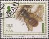 Colnect-2911-052-Bee-Osmia-rula.jpg