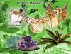 Colnect-5033-546-Pope-in-Africa--butterflies-ordchids-minerals.jpg
